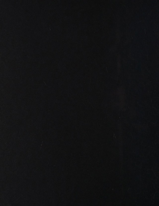 digitised image 2