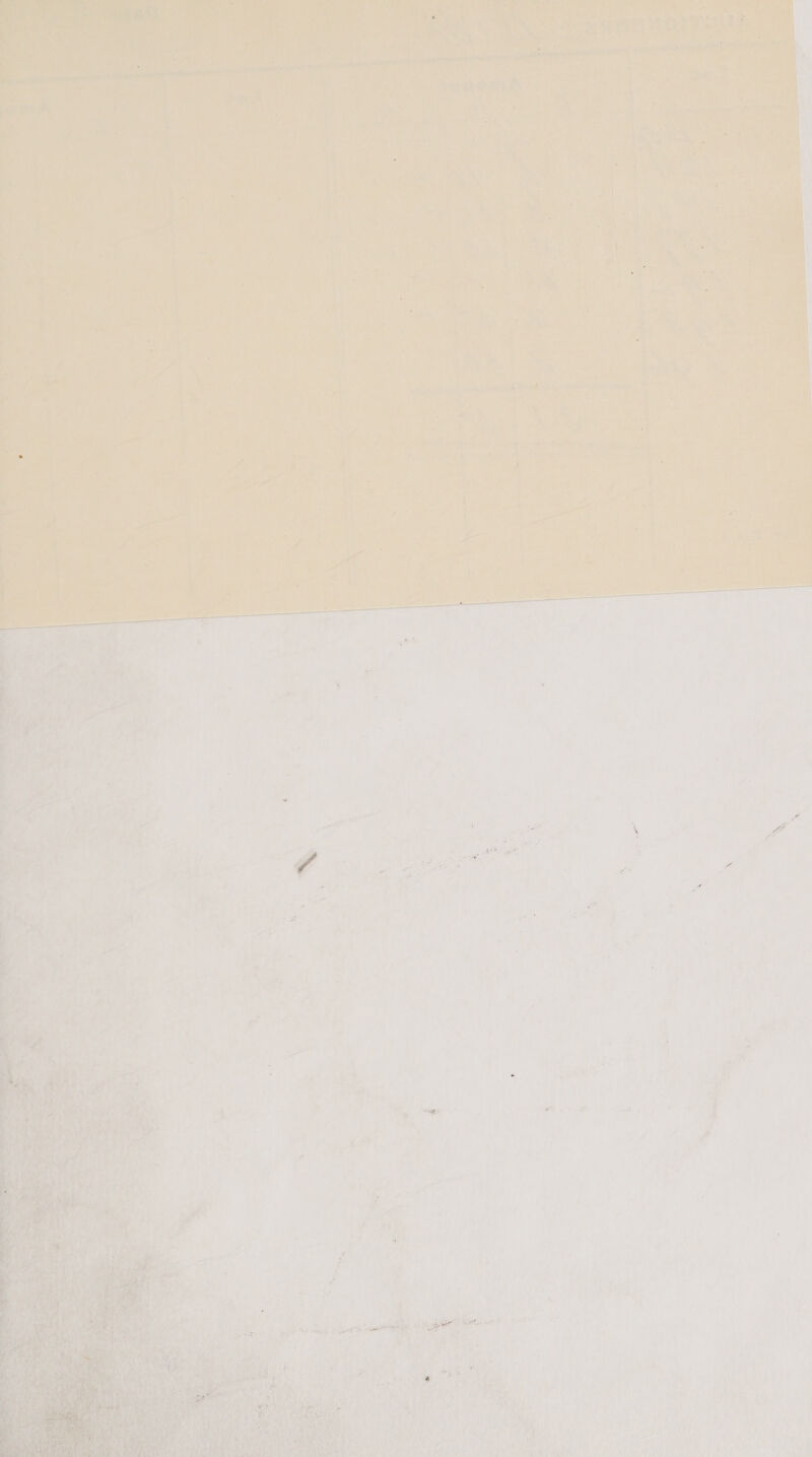 Ne       or     vor e ay fi