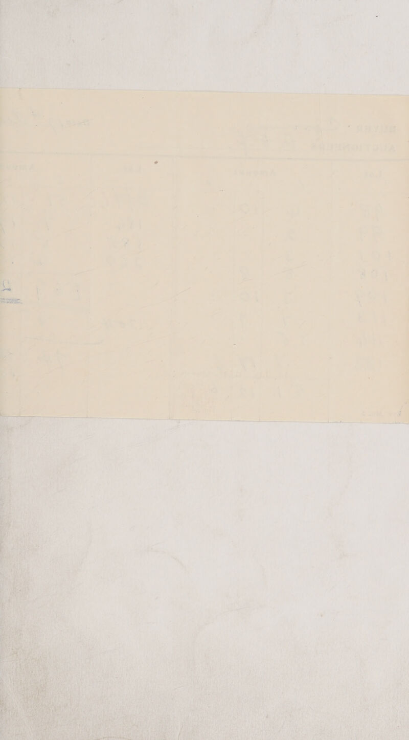  Z * J P 4 d ~ 7 7 — > <_s 38 y ag 4 A > 5 ‘ 7 ss a ‘ 5 4 |  - 5 + a ¥ ;   «, i ‘ 4 ‘ a f = ' - bo &amp; E ie al a i; ‘ od i ai i¥ if ¢ A $ pete “ ' ’ 4 ate ag aay i, fi     A ioviy p, | i, ie y xe i : \ 2h * min see 