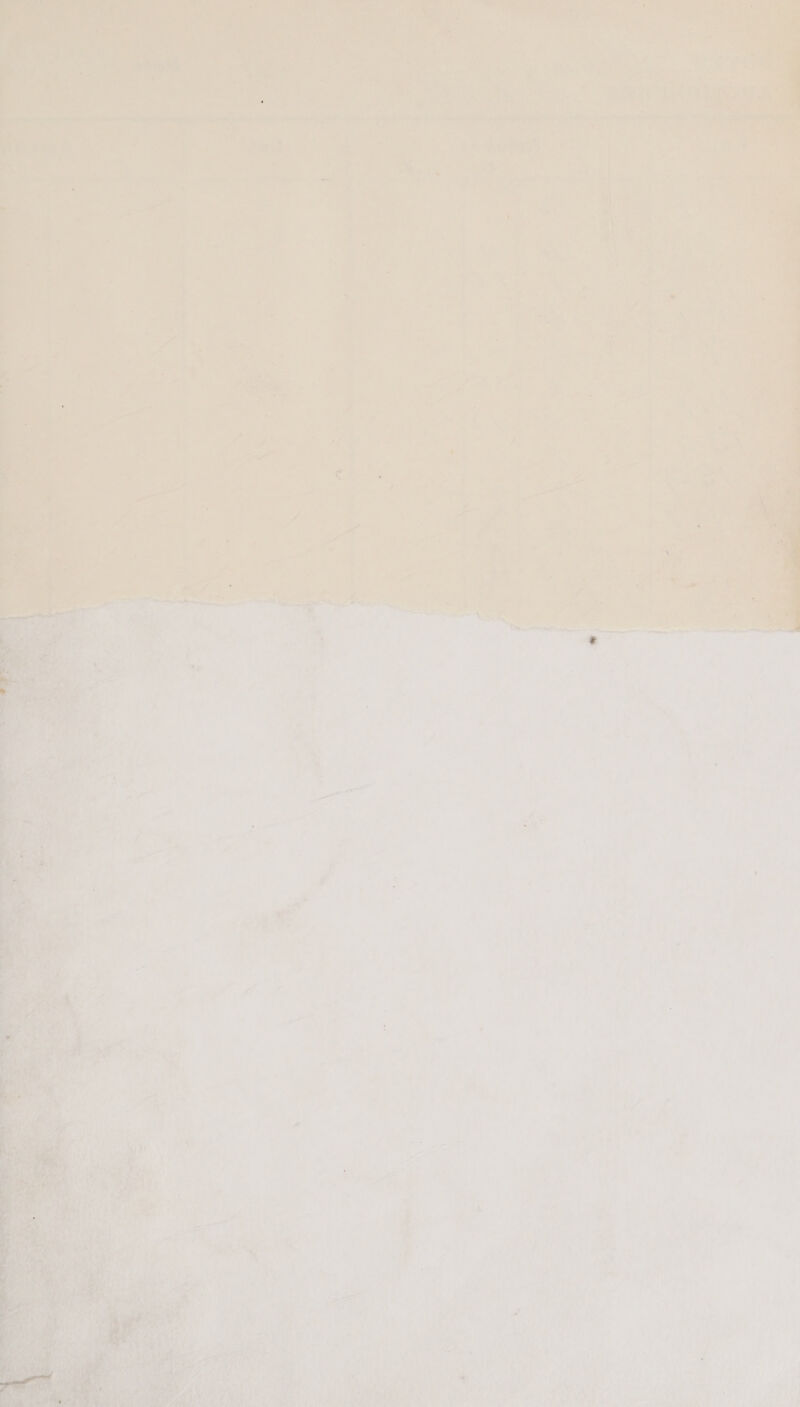  aioe tt we Pipe ey pe : oven a eo As a “a ya t ‘ i‘ . + / ‘ a a ‘ <4! is me. ; ——— ea Le ‘ ' é  ‘ ? r      ‘ \ i ‘ 5 » . ' iv! we i+ ° y j ; y ( hil bY ‘ *% t } yet beau i’