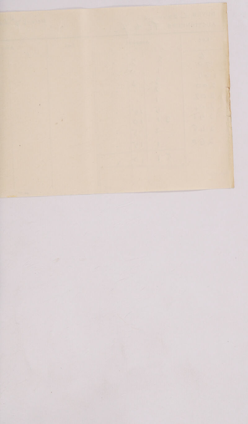 pee ox aie oy ee pin 7 Rice ok 