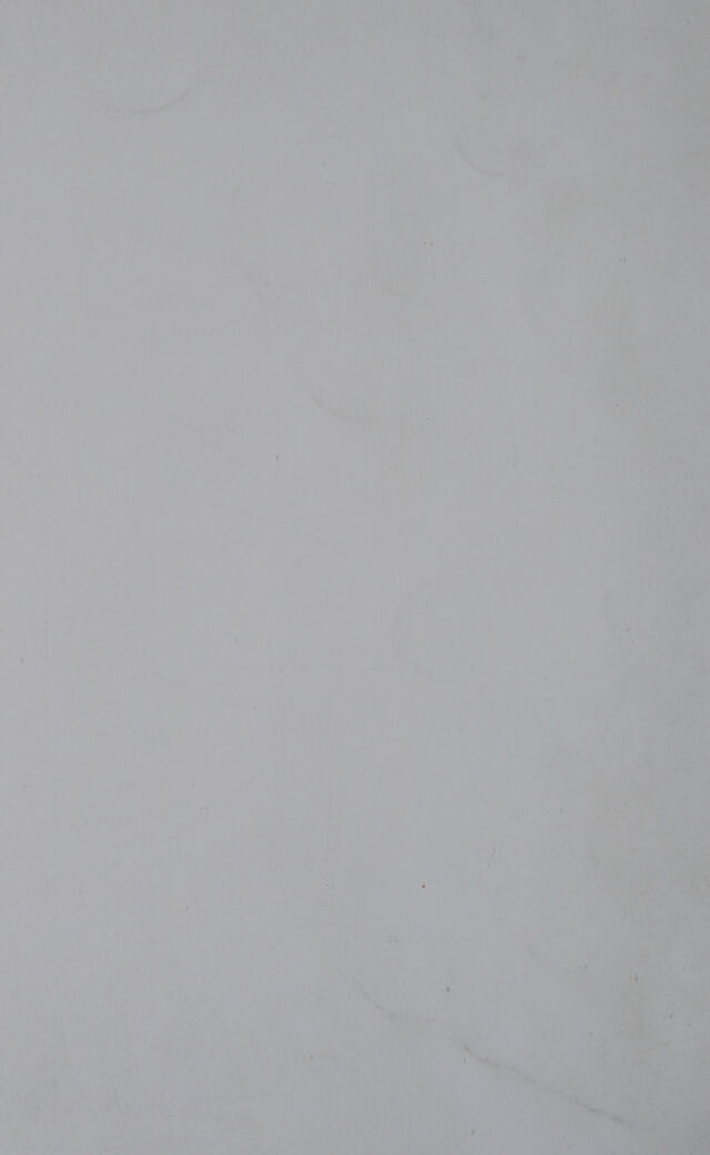 digitised image 2