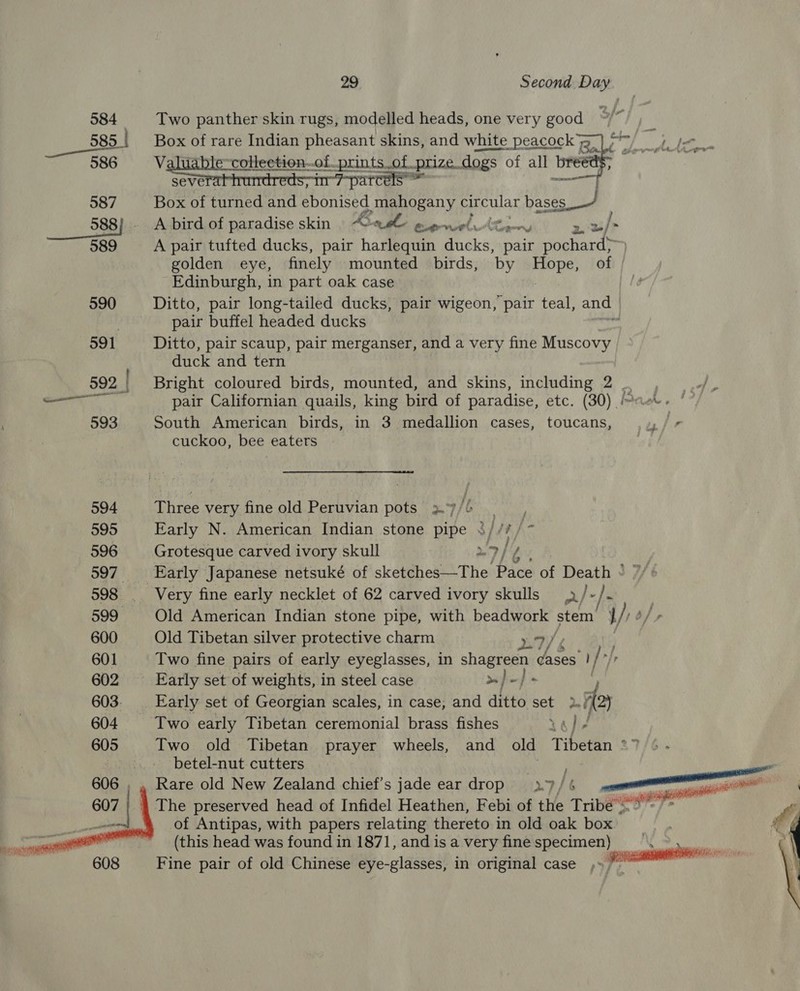 584 Two panther skin rugs, modelled heads, one very good 585! Box of rare Indian pheasant skins, and white ie eT Bo. 586 —soV. e-collection..of prints of prize dogs of all et Se pate % _ 587 Box of turned and ebonised mahogany circular res __ 588} __ A bird of paradise skin ewe eee, 2 2»/* 589 A pair tufted ducks, pair harlequin ducks, te pochard>~) golden eye, finely mounted birds, by cen of Edinburgh, in part oak case 590 Ditto, pair long-tailed ducks, pair wigeon, pair teal, and | pair buffel headed ducks 591 Ditto, pair scaup, pair merganser, and a very fine Muscovy duck and tern  592 | Bright coloured birds, mounted, and skins, including 2 ; di chil SOR pair Californian quails, king bird of paradise, etc. (30) Pact. ' 593 South American birds, in 3 medallion cases, toucans, | cuckoo, bee eaters 594 Three very fine old Peruvian pots 7/6 595 Early N. American Indian stone pipe FEL Se 596 Grotesque carved ivory skull 9/4 597. Early Japanese netsuké of skeithes The ‘Paes of Death ° 598 _ Very fine early necklet of 62 carved ivory skulls ./-~/. 599 Old American Indian stone pipe, with beadwork stem thay 600 Old Tibetan silver protective charm 27/5 601 Two fine pairs of early eyeglasses, in shagreen ¢ases i 602 Early set of weights, in steel case >} -} - ] 603. Early set of Georgian scales, in case, and ditto set > 2112) 604 Two early Tibetan ceremonial brass fishes Ye} - 605 Two old Tibetan prayer wheels, and old Tibetan °” re Ls betel-nut cutters Rare old New Zealand chief’s jade ear drop 7/4 The preserved head of Infidel Heathen, Febi of thie Tribe ibiaheets ne pers oe thereto 2 old oak ae | is head was found in , and is a very fine specimen ‘ Sk Fine pair of old Chinese eye-glasses, in original case , meni ;    al TT el  