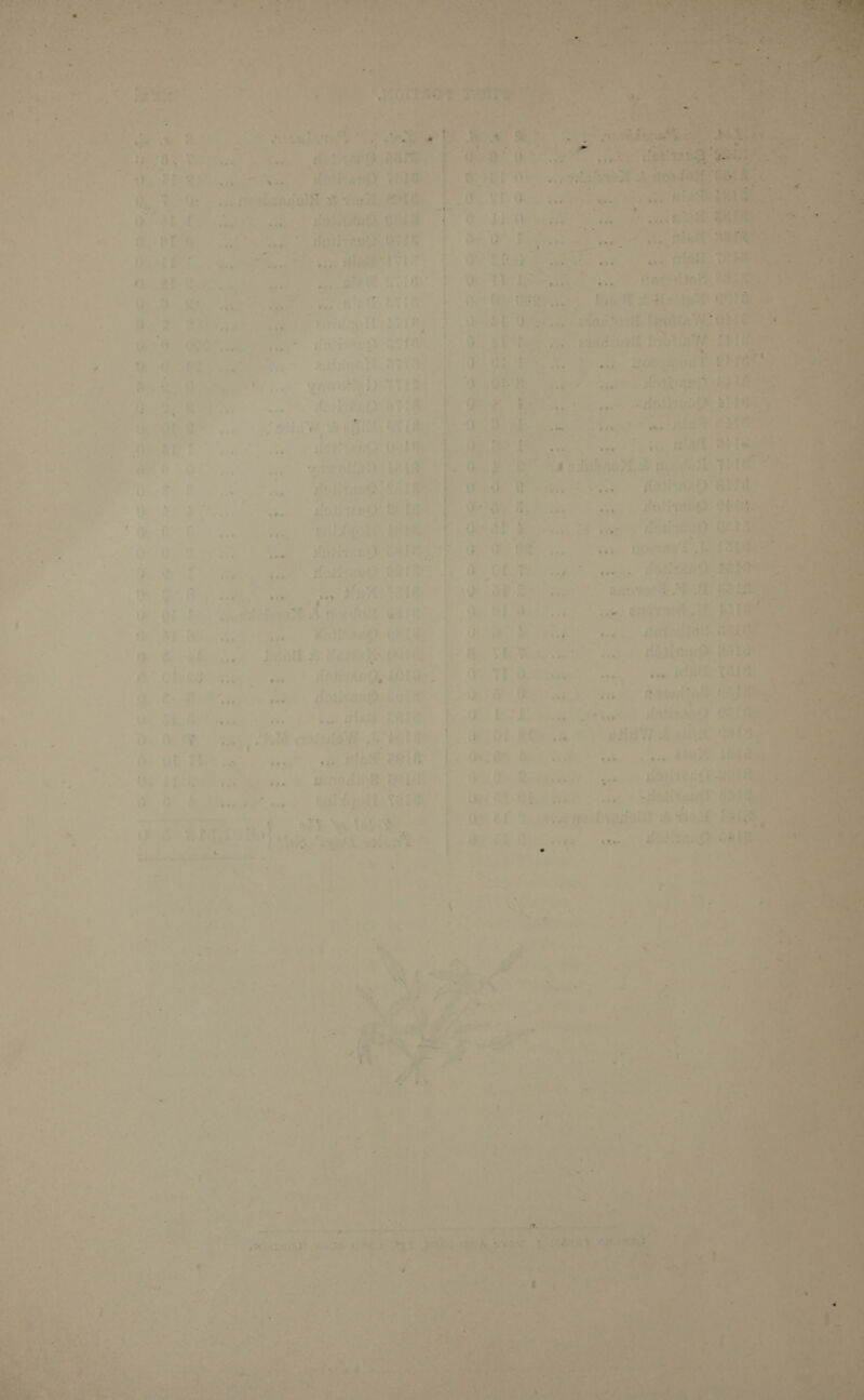  “At cule ha          %) j Aso ‘ ea aes 4 1g * ‘ Ys: &gt;! A wa : e ds SEEAPRY. Yi ho Too Oe + i ER TOE 34 Hee ed i }   . ' re f abe . sae Hai uh ae vw : Spin oom, ; o Pee a rrepensie debe + ee eep ity “ $4 ie : RE. Sah ‘ 