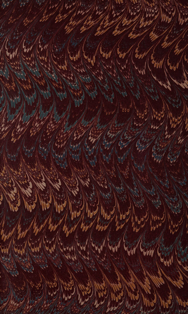 No text description is available for this image