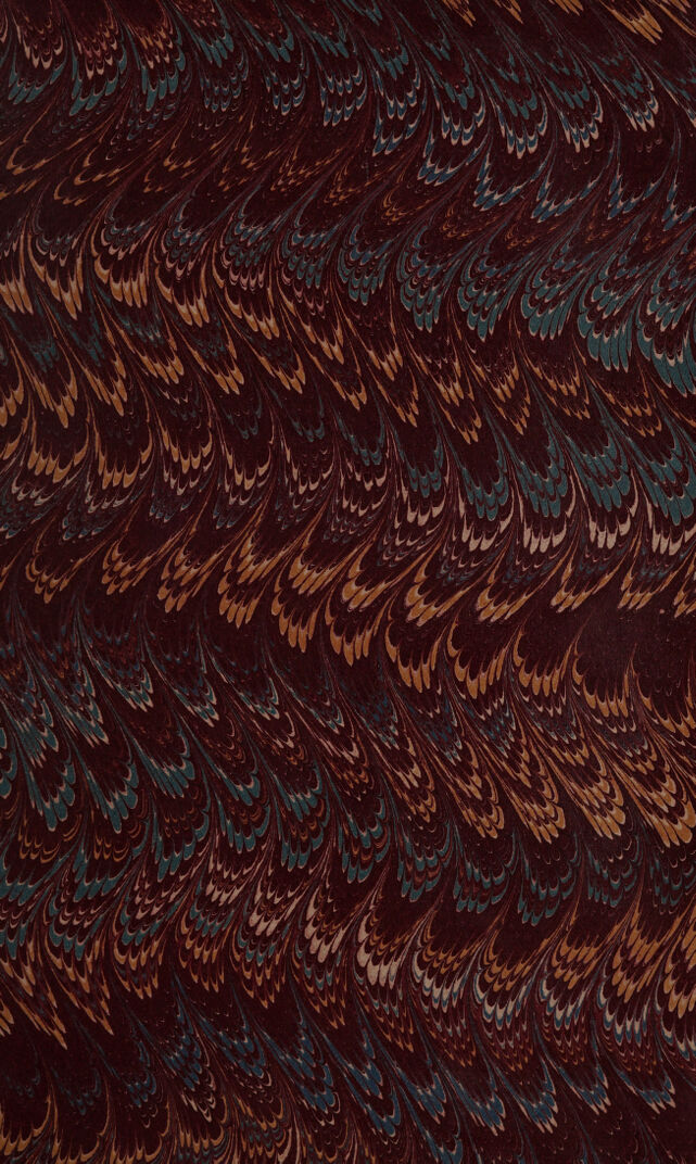 No text description is available for this image