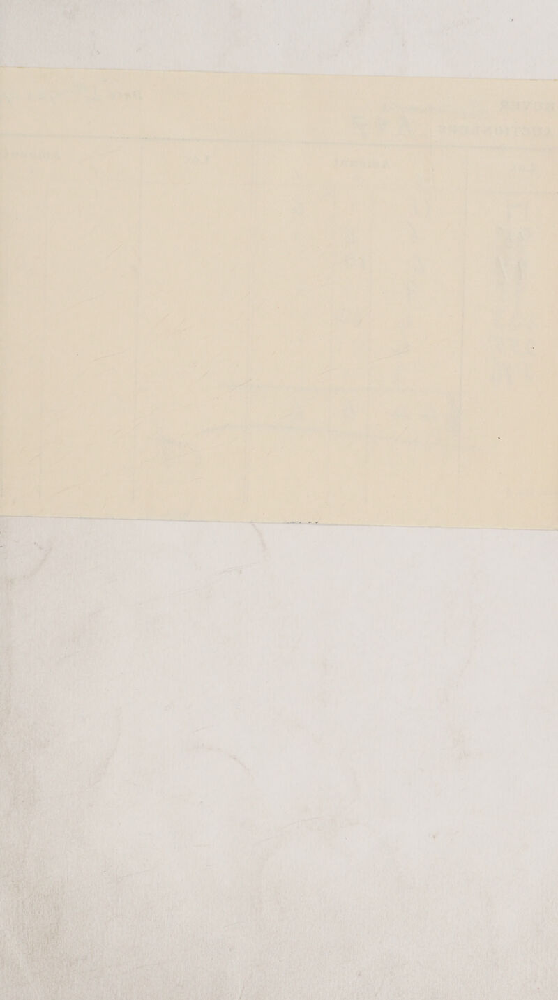  arent R ; aL Oa Fits    ew s in Ny Ray: ae f ie ee ne ts ere oy eh Sy Rey a em Be se TMD rT UA   pe eetinn wands oon ts be ~slalleile et ee | Rainy Rs 7 vin i lek 5 Mamas ti y helenae von. ee en / ' ‘ s \ : 7 ‘ . , } if a, ry lL \ : | Nose Myers dey 2D f , j + anne nee aT ay ; ‘ nore | \ ea t ; { ; | x . , ft 4 4 at . A | 1 ‘ + , aa M4 : 4 : * } : i s * Pil Sy» + \ i ey i has : | _ i r ’ | t eae . : i , hy : , am t ; 5 . | yf | | : ; : ~ ee . j  