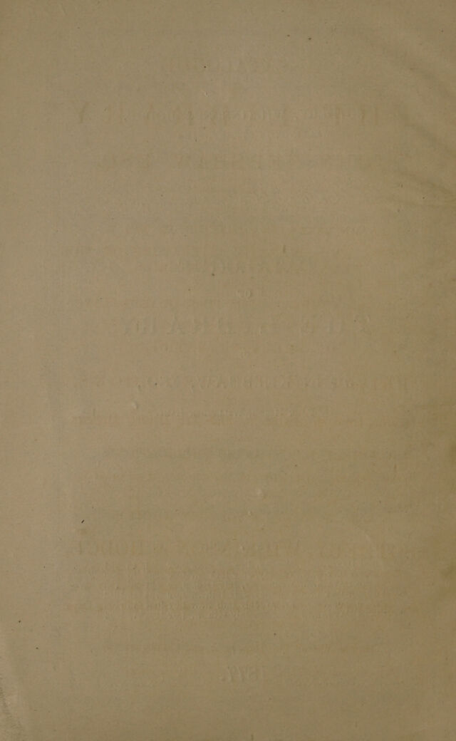 digitised image 2