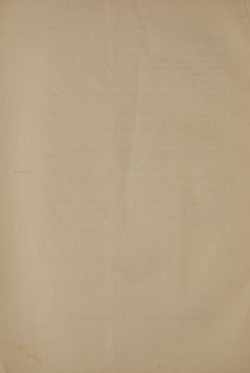               fh ? * . Ses , ee +t ert , es aa ners Reed . + 7 9) ks a P a.’ gal’. z bh welt wen ar : ’ 7 waka ay rat Tetht 7 4 ' ry , ’ 7 14 ah er rd ati ee ay e hie %y ; rat : fs ae : “ee, 7 et! . “ee its s ’ * a Ps : ; rte wid i Ga yhes Jotdieie ist (id 300 Ad é . : e : oe ‘ “3 . Rishive Ole 4 1 Le wie Aeeer iris Tigh att Ait ar . ap rE nee a POU Sonthad Ablubily A ; = wat = el &gt; iia r. : 2 : 7 7 uf i ia 7 : q : Se 4S oe : meat» § eee ae ee j eet =o .+) ei ni ‘. os. —e soy ad . ; 3 ae. f ‘aaah ave. bal : . ae Pi: ie i 4 ; oe - a ae oie ve TAA pest wad 2 a Co FOk ant gar a ie ’ | LPO LY 560 dae Bshisy « We ss 7 r i ha. é sar dillon ts Ee t yg) Z 3 if : ace roar He “Dauner , TAs ig 2 igi i ia; ns, Wis. CARE yernity ital -   ois pi Sy eehears ay bin =~ \ ance one capi ve Wes an ¢ ; f ae 7 Use alah es — eer ne a : , , | i ul er    