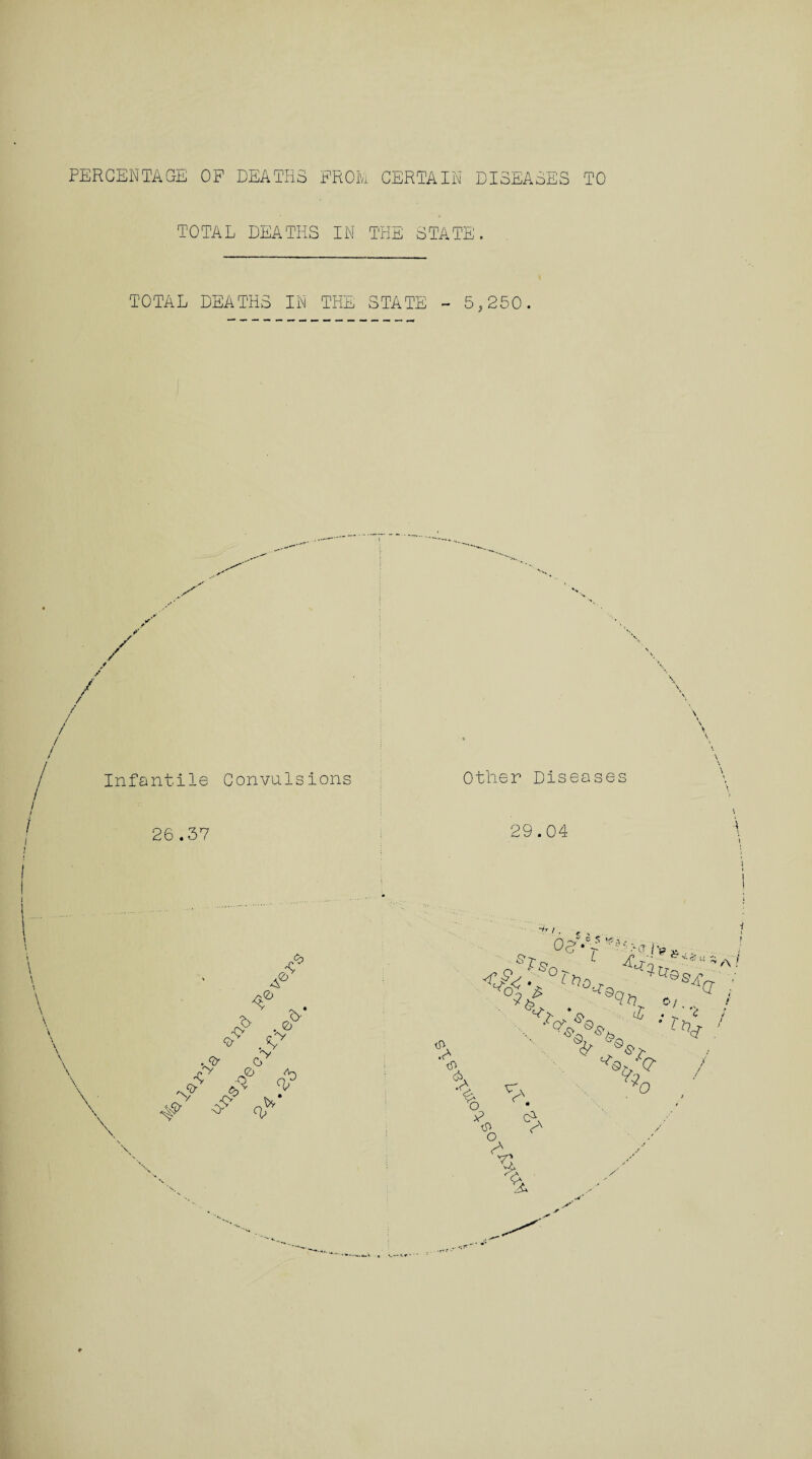 TOTAL DEATHS IN THE STATE. TOTAL DEATHS IN THE STATE - 5,250. / Infantile Convulsions 26.37 \ A <2) 0* & R r <tr . V .<? CjG 5 q? 6 cy v k$V ex*' y Other Diseases 29.04 mfr / . °7 & L(7 ; A 2 ^6 n o t> s* <$> 7^ % /.,,, ' ^7 0 v \ vj &