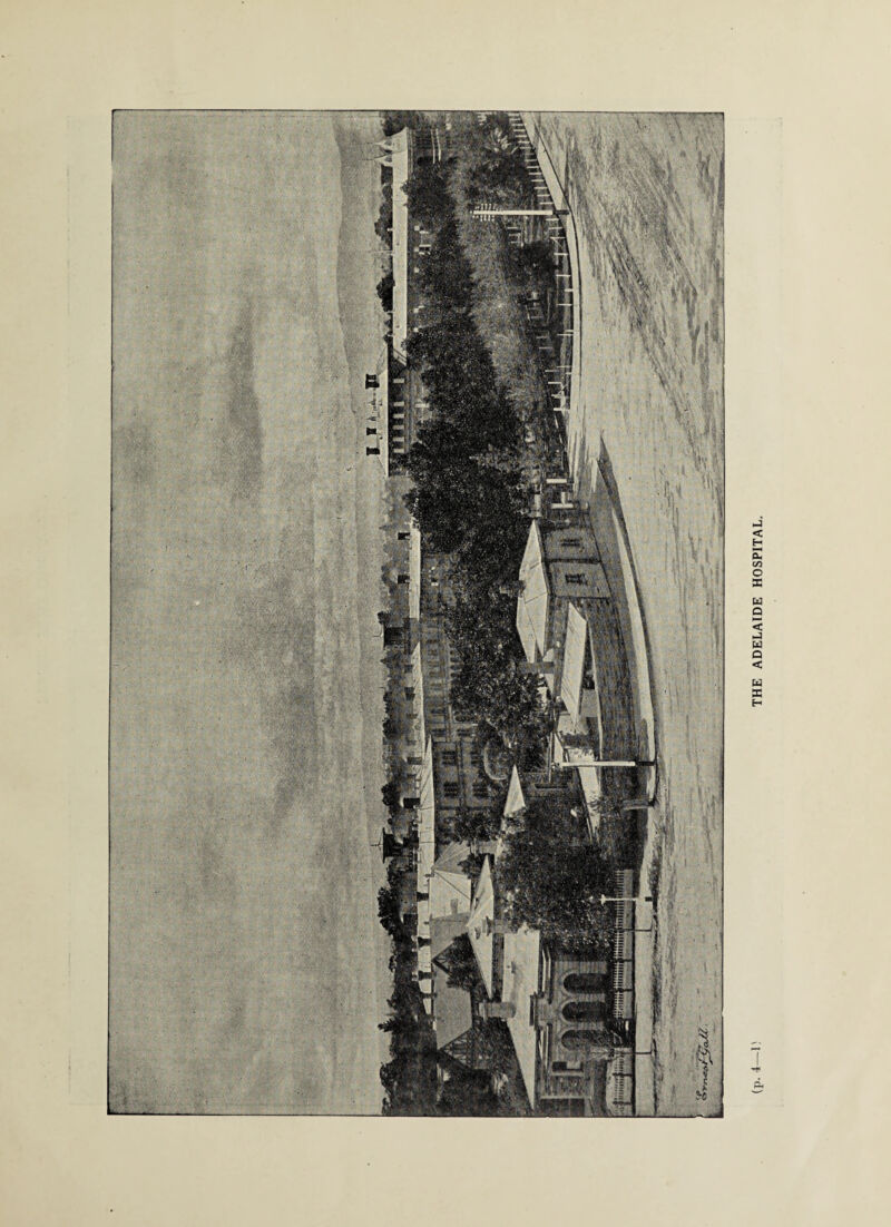 THE ADELAIDE HOSPITAL.
