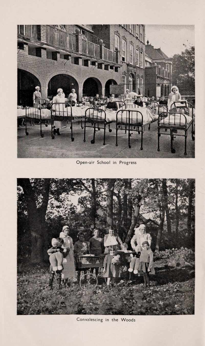 Open-air School in Progress Convalescing in the Woods