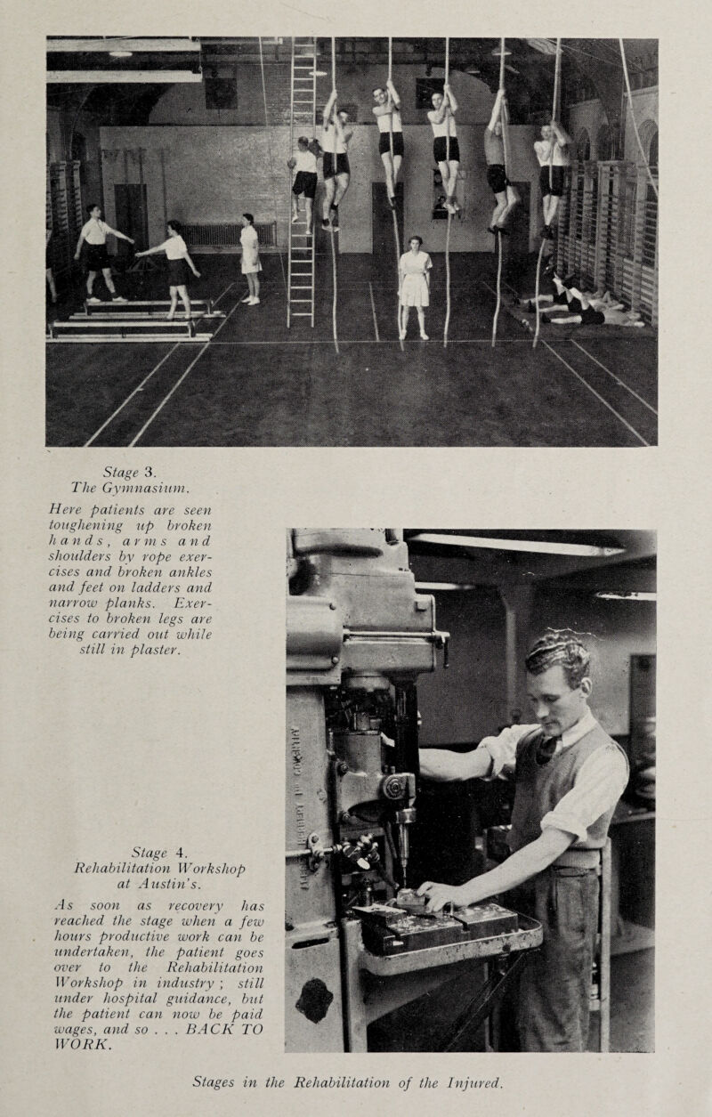 Stage 3. The Gymnasium. Here patients are seen toughening up broken hands, arms and shoulders by rope exer¬ cises and broken ankles and feet on ladders and narrow planks. Exer¬ cises to broken legs are being carried out while still in plaster. Stage 4. Rehabilitation Workshop at Austin’s. As soon as recovery has reached the stage when a few hours productive work can be undertaken, the patient goes over to the Rehabilitation Workshop in industry ; still under hospital guidance, but the patient can now be paid wages, and so .. . BACK TO WORK. Stages in the Rehabilitation of the Injured.