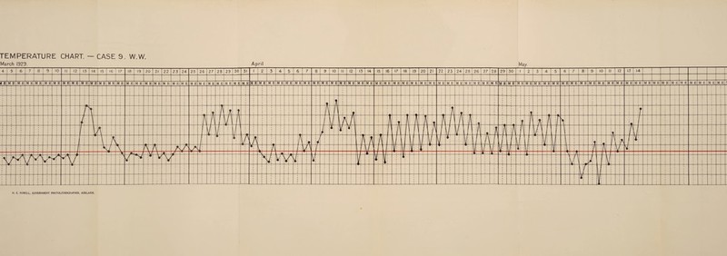 TEMPERATURE CHART. — CASE 9. W.W. H. E. POWELL. GOVERNMENT PHOTOLITHOGRAPHER, ADELAIDE.
