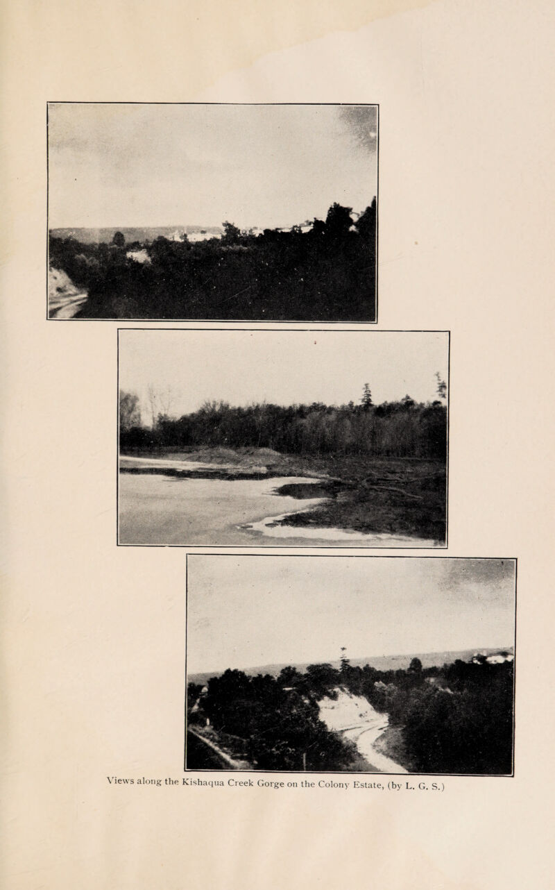 \ iews along the Kishaqua Creek Gorge on the Colony Estate, (by L, G. S.)