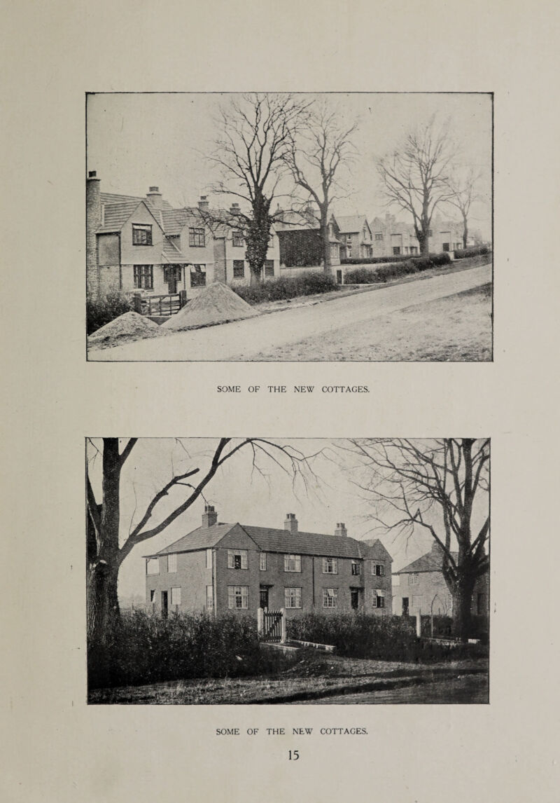 SOME OF THE NEW COTTAGES. SOME OF THE NEW COTTAGES.