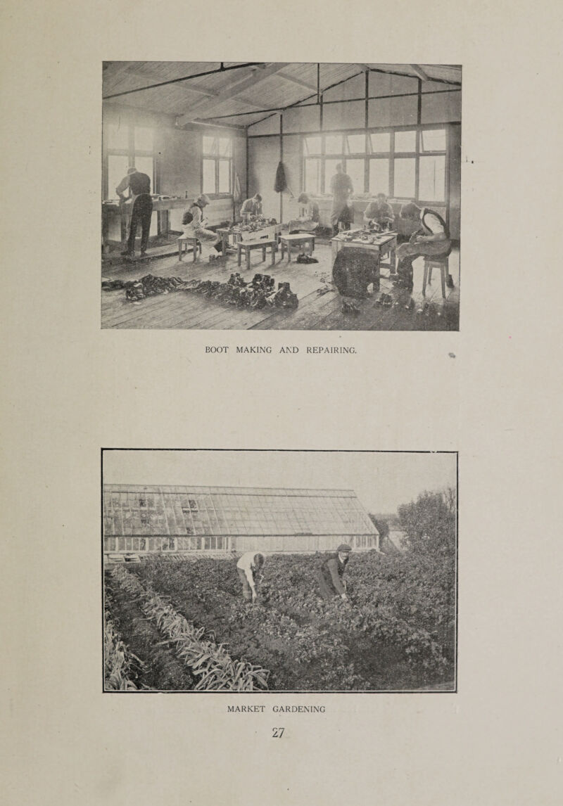 BOOT MAKING AND REPAIRING. . '**•>•*>«* MARKET GARDENING