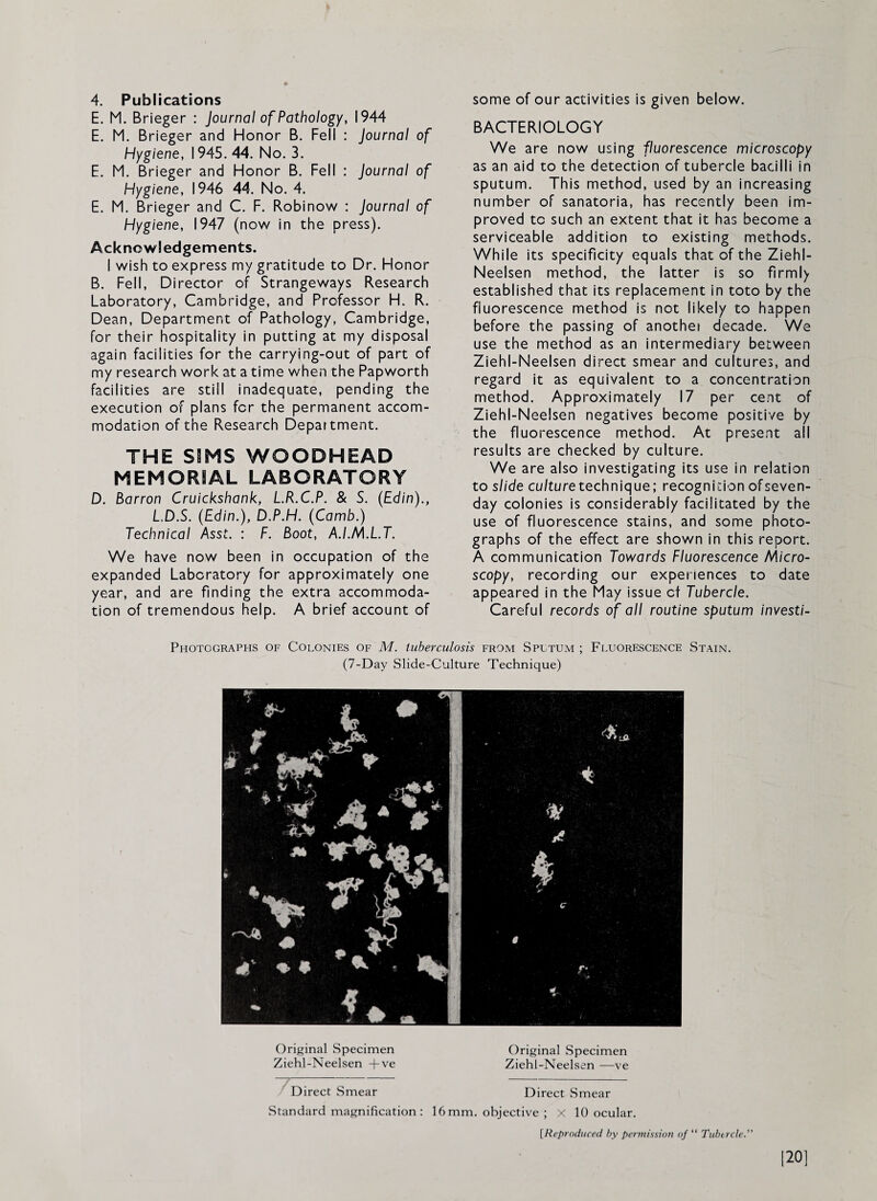 4. Publications E. M. Brieger : Journal of Pathology, 1944 E. M. Brieger and Honor B. Fell : journal of Hygiene, 1945. 44. No. 3. E. M. Brieger and Honor B. Fell : journal of Hygiene, 1946 44. No. 4. E. M. Brieger and C. F. Robinow : journal of Hygiene, 1947 (now in the press). Acknowledgements. I wish to express my gratitude to Dr. Honor B. Fell, Director of Strangeways Research Laboratory, Cambridge, and Professor H. R. Dean, Department of Pathology, Cambridge, for their hospitality in putting at my disposal again facilities for the carrying-out of part of my research work at a time when the Papworth facilities are still inadequate, pending the execution of plans for the permanent accom¬ modation of the Research Department. THE SIMS WOODHEAD MEMORIAL LABORATORY D. Barron Cruickshank, LR.C.P. & S. (Edin)., L.D.S. (Edin.), D.P.H. (Camb.) Technical Asst. : F. Boot, A.I.M.LT. We have now been in occupation of the expanded Laboratory for approximately one year, and are finding the extra accommoda¬ tion of tremendous help. A brief account of some of our activities is given below. BACTERIOLOGY We are now using fluorescence microscopy as an aid to the detection of tubercle bacilli in sputum. This method, used by an increasing number of sanatoria, has recently been im¬ proved to such an extent that it has become a serviceable addition to existing methods. While its specificity equals that of the Ziehl- Neelsen method, the latter is so firmly established that its replacement in toto by the fluorescence method is not likely to happen before the passing of another decade. We use the method as an intermediary between Ziehl-Neelsen direct smear and cultures, and regard it as equivalent to a concentration method. Approximately 17 per cent of Ziehl-Neelsen negatives become positive by the fluorescence method. At present all results are checked by culture. We are also investigating its use in relation to slide culture technique; recognition of seven- day colonies is considerably facilitated by the use of fluorescence stains, and some photo¬ graphs of the effect are shown in this report. A communication Towards Fluorescence Micro¬ scopy, recording our experiences to date appeared in the May issue of Tubercle. Careful records of all routine sputum investi- Photographs of Colonies of M. tuberculosis from Sputum ; Fluorescence Stain. (7-Day Slide-Culture Technique) Original Specimen Ziehl-Neelsen +ve Original Specimen Ziehl-Neelsen —ve Direct Smear Direct Smear Standard magnification : 16 mm. objectiv^e ; X 10 ocular. [Reproduced by permission of “ Tubercle. |20]