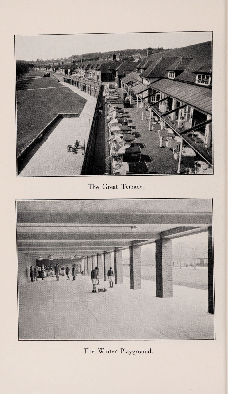 The Great Terrace. The Winter Playground