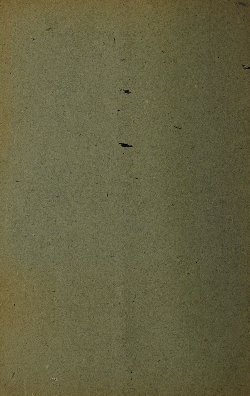 'j^y 1 ■'«w» / i \X- '■ >