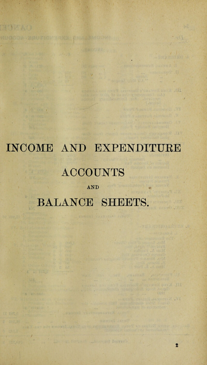 INCOME AND EXPENDITURE ACCOUNTS AND BALANCE SHEETS.