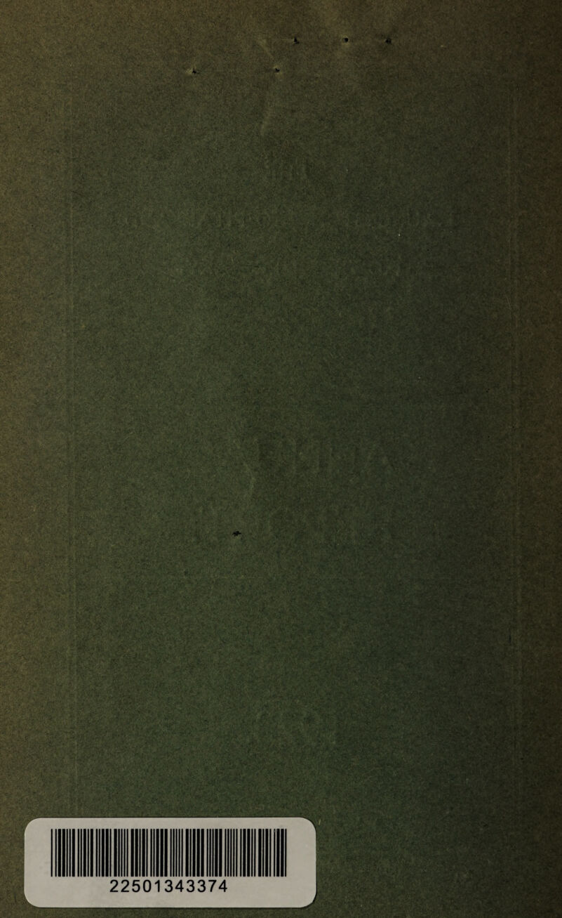 * ' it; m® v it,_ • •, ;'rVRAM : v 4N SS? :'^v : .. *£♦ Swis-.-jh' ^ 1 %’SfeSs ggj 1.1 w9 ly *• wMI lilill . ' ■■ - -^:. 'v V .' '**.Vj. 4' fmm&. . ss4fe I v
