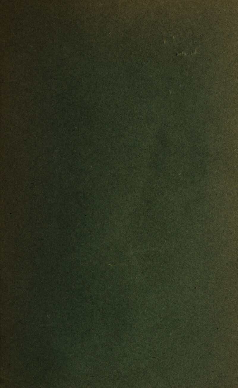 -WW: ;:v.'-<5 ^-';■?:•.•• •.:. ■:• - ■v >. ,» . • ■pHI V: -... . ;>•/. A • .... &5WV • ■ <£. :. •.•••?n:^f;;'. >. -v 'K* •*' ..b*. ••' rav*•*.•• .>.a •'•.• ;^vv •#> SotIII ■-w. o-.; • y. . ••. ; ?* *• •-• , • ty • ?$ ,/y ,■:, '-k •■, - g*«ari».«L y.-fe v -. JteaJwA* '• . ' .-. • ,* •. : ■;.! .* • . . • ‘WX .£. ‘ r ..■ ;* Xy';..: XV:. . : ■; 'v'V:'•■- v - ■ '..; 4z $ ;'yj ^‘.i’few;> y .A»av>*'. :'- .:.»• •'•••• :p.*'’> •'•vrsjjjb > ii W'-vV Jfcv^v ■ ' ■•:•' ■> Vi -isa®2® —V v 'V: C^t'•'*«: SSx V /. •1 * '■• ' . ; ft'? |iacfeu :'3t v :$&£.*, cij ***?*'i ■>.fA?» Vi*- ■ ■•■-•'.. • • I ’ . \A ^ ?•' • • t;>*vi :• -X■:• ../• ' ^♦ v'‘ iWzSalti-‘wE--'•. ^ • . V .• j.>‘.*• •. .... * • j&SP.dk 3»'fV'.-Avr¥*S^; mHKW.: ^»v:- !■* .'-■. : - a r>: •• -§^<' \ -xX yv:; ,.;X: k.*'•-;. ~{v. - - ■ ■■ ■ > fj Xl ■ -X.: