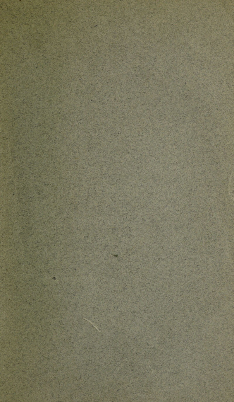 « ^ i^v-rX^r-vv ^.^3sr.' • ; - 'X • X V .J ' .r y ■ .<(>' ■.'. r^r^u.L ■■ • --• - ■ r -. '.V _ —• • • -.a^.- - -j-. .^: ' X ' X- a^::' •* -.iX.X-. i rr ’^;..J^..:'V.- • y^' • ..'J V-.: '<£><•'; -r^' Xi • , *'«■ ■ • ' -■ -•~;,X-' ■'t . ■ v; ■*•;./•■*■'_,,- r’, ,r.;j^,'. r-!iX^>.X.^'--A'- i,-■=■',■. -., ■irf^'^-X^ffiT'i''-'' p->>tatX''-V.: ' ,4^r-■■ ■,■-■■: ■'•■<■ -^-iT •■v •■
