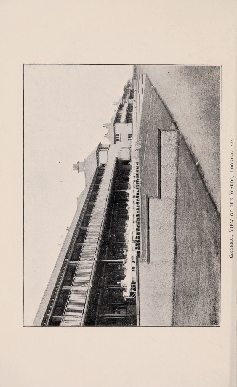 General View of the Wards, Looking East