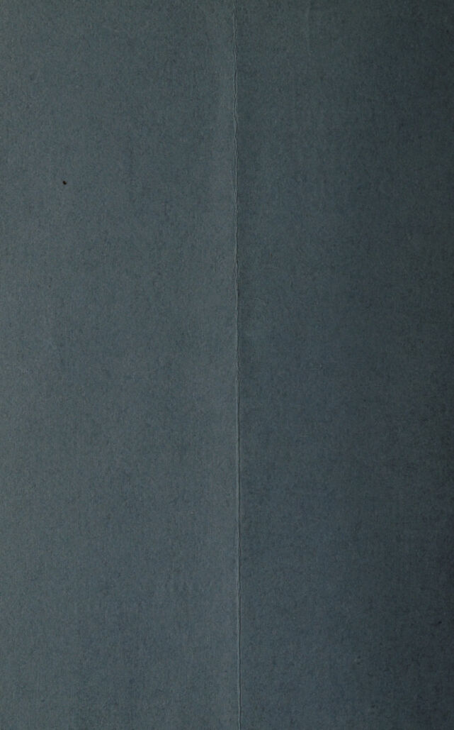 digitised image 2