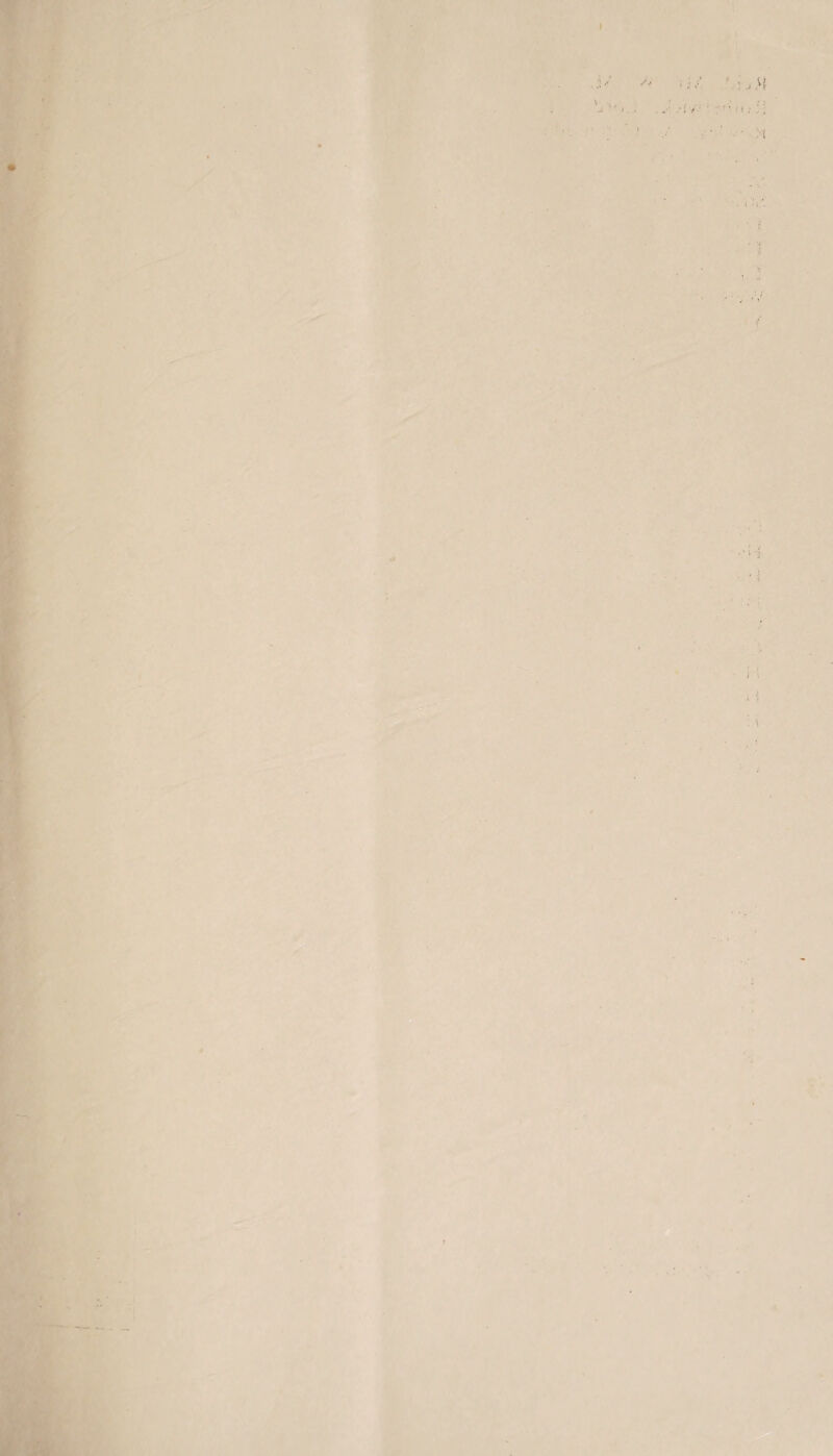 I ' . ■ ■ . i . . a - f * ■ i; ■1