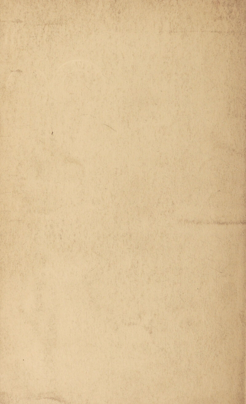 'V ' -V . - ' •• ' & ' ‘ • - '« . \ - v *■ -! :• ; •'■.V  •v1. v * < .) 'v.% . \ 1 v . « :• f ' *' - . ; . ,.. . ■ !