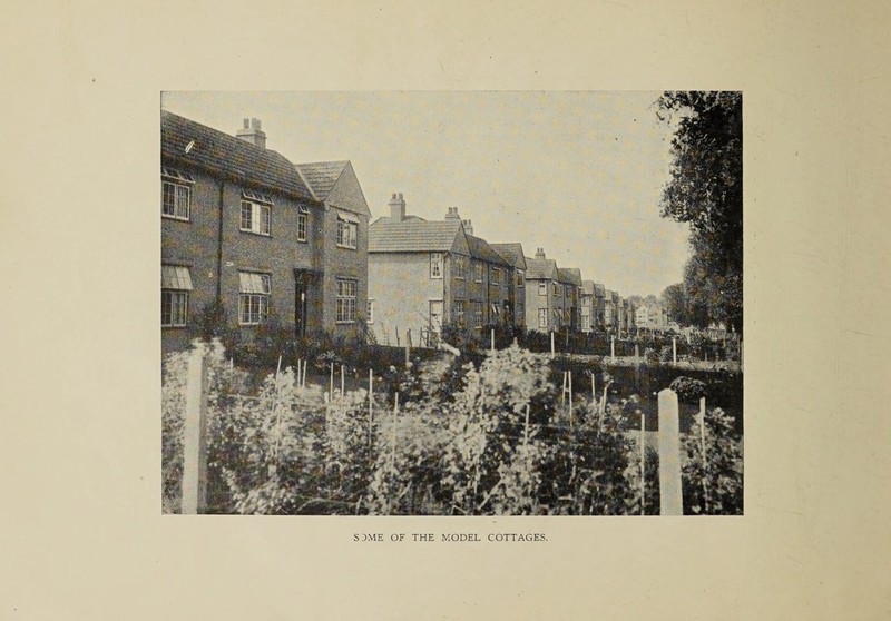 SOME OF THE MODEL COTTAGES.