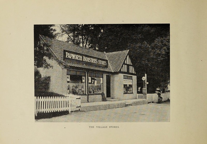 THE VILLAGE STORES.