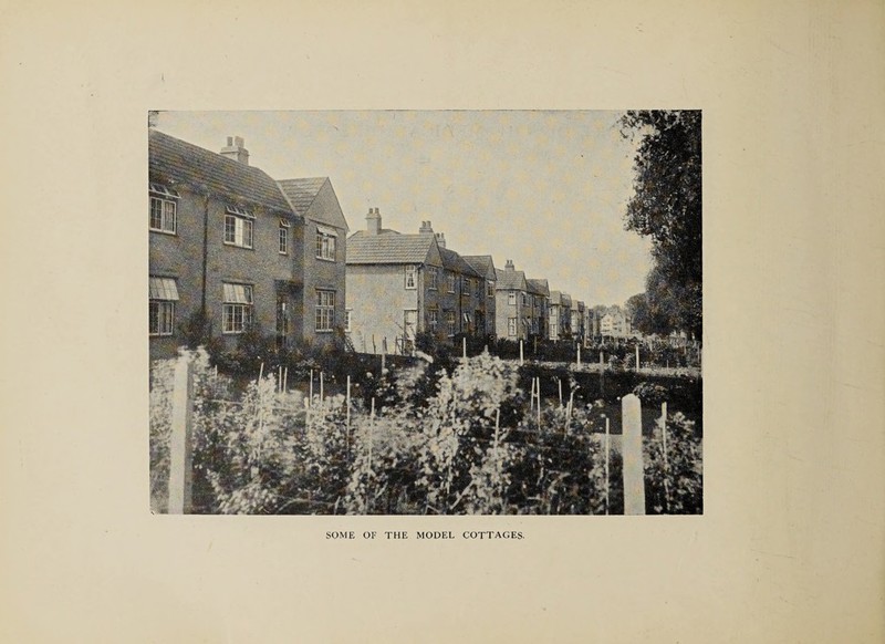 V. SOME OF THE MODEL COTTAGES.
