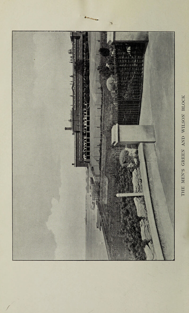 THE MEN'S GREEN AND WILSON BLOCK