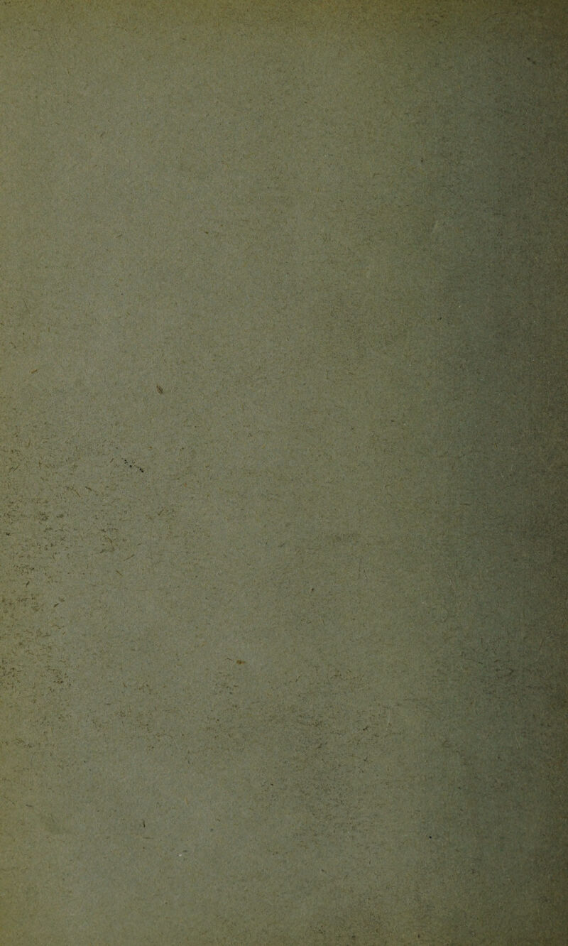 •>. <•'. • > •• F '<? rS-W* » 1 /Wc.WkMSW ss* :.ig£a if -$T « v* • mS .1*