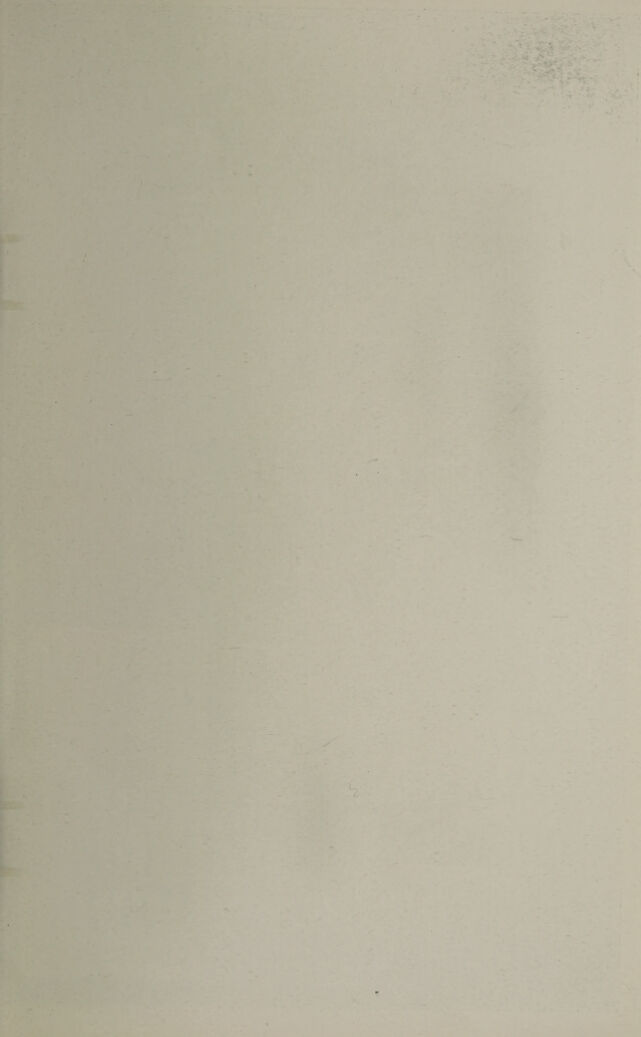 digitised image 3