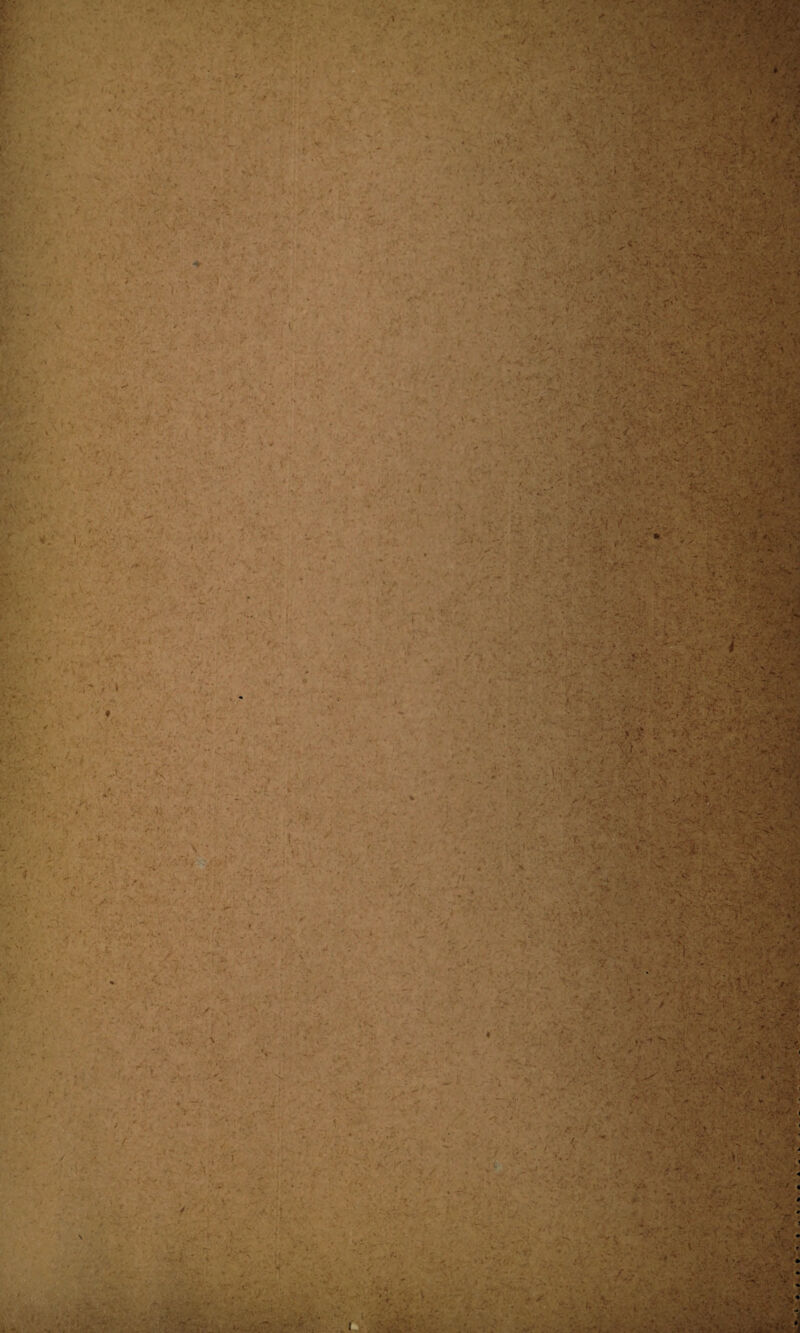 1 r'K' •• >. : ■ .v, i • ■ -, >r> ; <■ • W -- ■ • /' * . jj-is1 r-; ■ -•-•••• 'vv|; f-: • V • ;* , ^v;:-v i V> ‘ * ‘ ■• '•.% •/* J : -v • V\ . V - ■ . '» -\r <• — - • A r •• ; ” .: -f-t ■ •' .; •••. • ■ ’ • ■ 7:' ' ‘:4 . • ■■■■■ '* ••'- - i ^ ■ --- • 'tuf? ., . <- iJ '•... ’•> : . ■ • • i. . -’7/. - • V • • . ■■ • • V•T* ’ ■ ' ■ - s..-- ' / • * ' •‘■'. F ' .. ■ -y v\- **. • - . . .j* • • ^ ■ .i- ’ f - . v r V.> v ; >- v.> » ■ ;-v ■- . • > • ■ ' - ■i.-. ic -V'U-j *. - f * ' • / r. v<. •* - f -r rVv-J