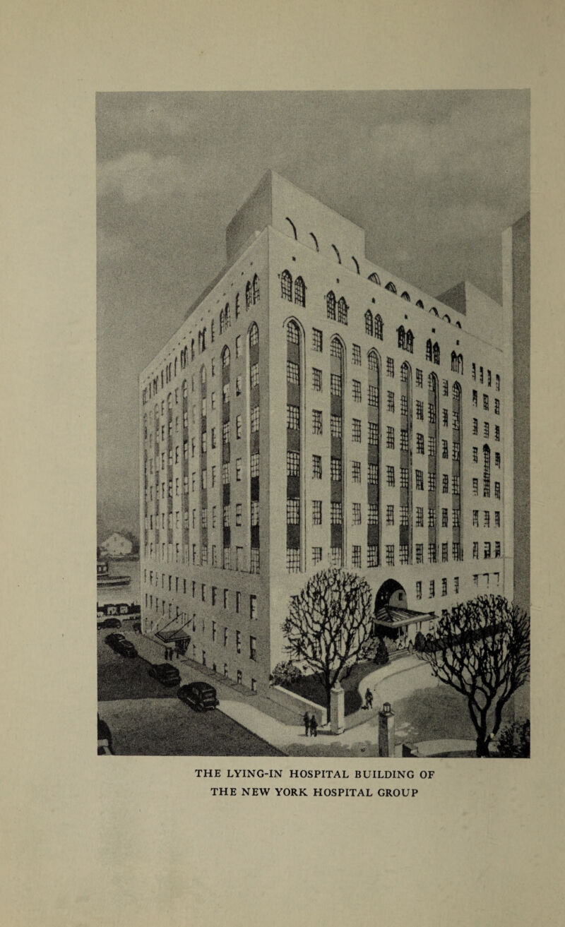 THE LYING-IN HOSPITAL BUILDING OF THE NEW YORK HOSPITAL GROUP