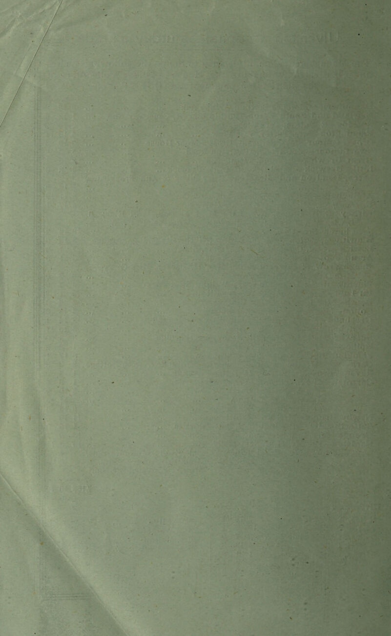 ■ ■ ' ■■■ * > . , ‘ ‘ \ . .