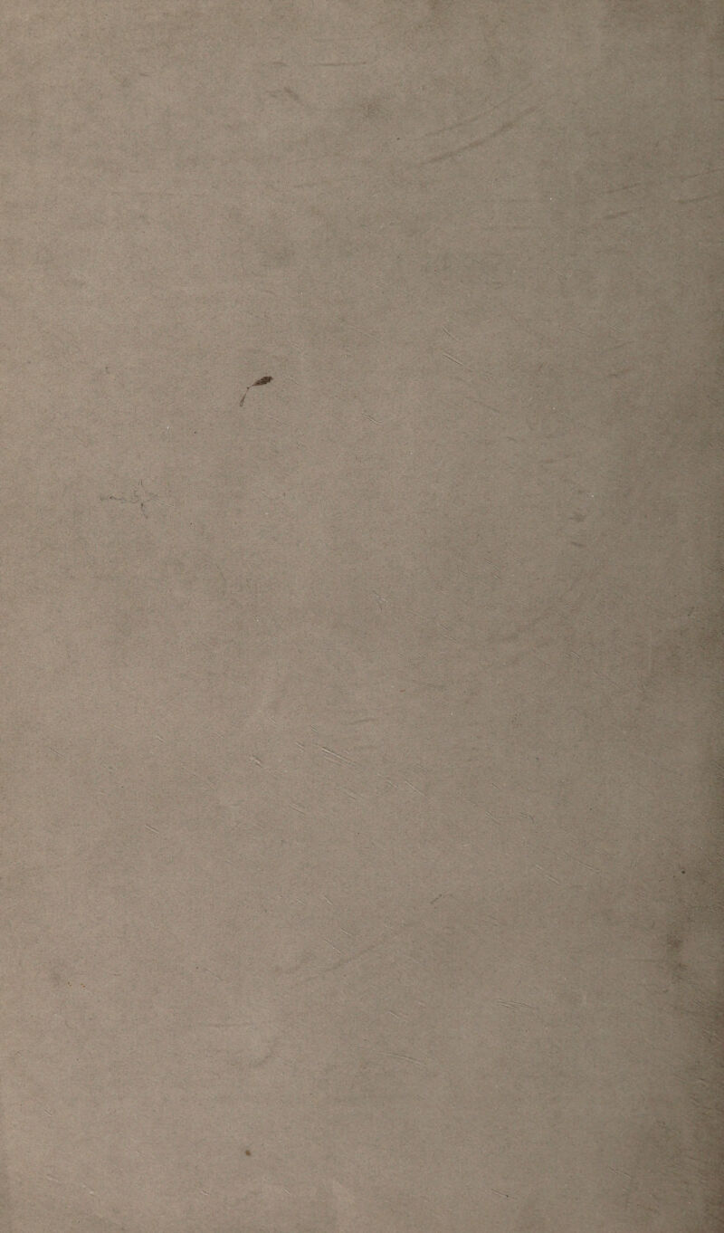 ' ~s.' ‘ • •/ ... • • • ■ - . - : A ’ ' .• •' : . • - ■ :> V';-' *** <• ys ~