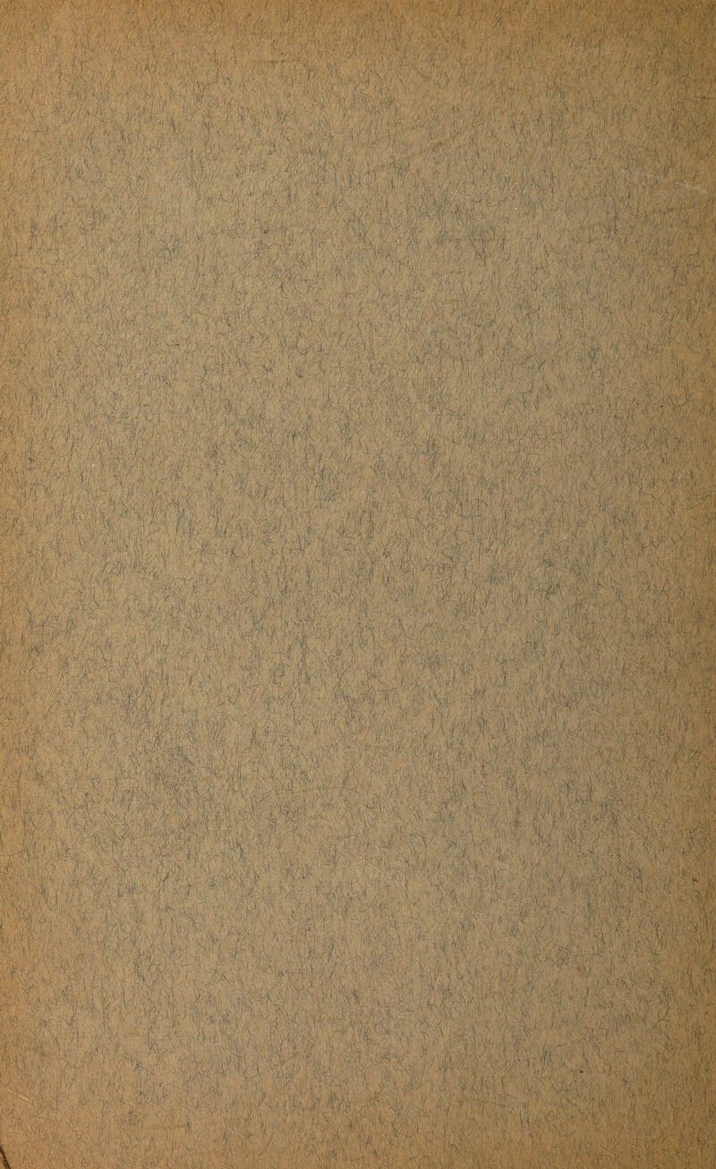 . . ki 1 ; i-'' . $ i { f . % \ \ : ' , • ? ;v.?& r- : j V Ji-’ ' i