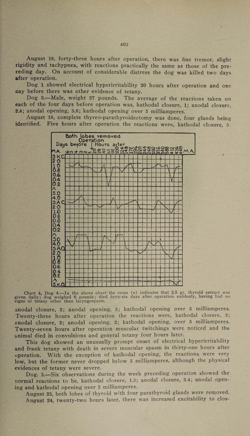 August 18, forty-three hours after operation, there was fine tremor, slight rigidity and tachypnea, with reactions practically the same as those of the pre¬ ceding day. On account of considerable distress the dog was killed two days after operation. Dog 1 showed electrical hyperirritability 20 hours after operation and one day before there was other evidence of tetany. Dog 2.—Male, weight 27 pounds. The average of the reactions taken on each of the four days before operation was, kathodal closure, 1; anodal closure, 2.4; anodal opening, 3.6; kathodal opening over 5 milliamperes. August 18, complete thyreo-parathyroidectomy was done, four glands being identified. Five hours after operation the reactions were, kathodal closure, 3; Chart 4, Dog 4.—In the above chart-the cross (x) indicates that 2.5 gr. thyroid extract was given daily; dog weighed 6 pounds; died forty-six days after operation suddenly, having had no signs of tetany other than laryngospasm. anodal closure, 2; anodal opening, 5; kathodal opening over 5 milliamperes. Twenty-three hours after operation the reactions were, kathodal closure, 2; anodal closure, 2; anodal opening, 2; kathodal opening, over 5 milliamperes. Twenty-seven hours after operation muscular twitchings were noticed and the animal died in convulsions and general tetany four hours later. This dog showed an unusually prompt onset of electrical hyperirritability and frank tetany with death in severe muscular spasm in thirty-one hours after operation. With the exception of kathodal opening, the reactions were very low, but the former never dropped below 5 milliamperes, although the physical evidences of tetany were severe. Dog. 3.—Six observations during the week preceding operation showed the normal reactions to be, kathodal closure, 1.3; anodal closure, 2.4; anodal open¬ ing and kathodal opening over 5 milliamperes. August 23, both lobes of thyroid with four parathyroid glands were removed. August 24, twenty-two hours later, there was increased excitability to clos-