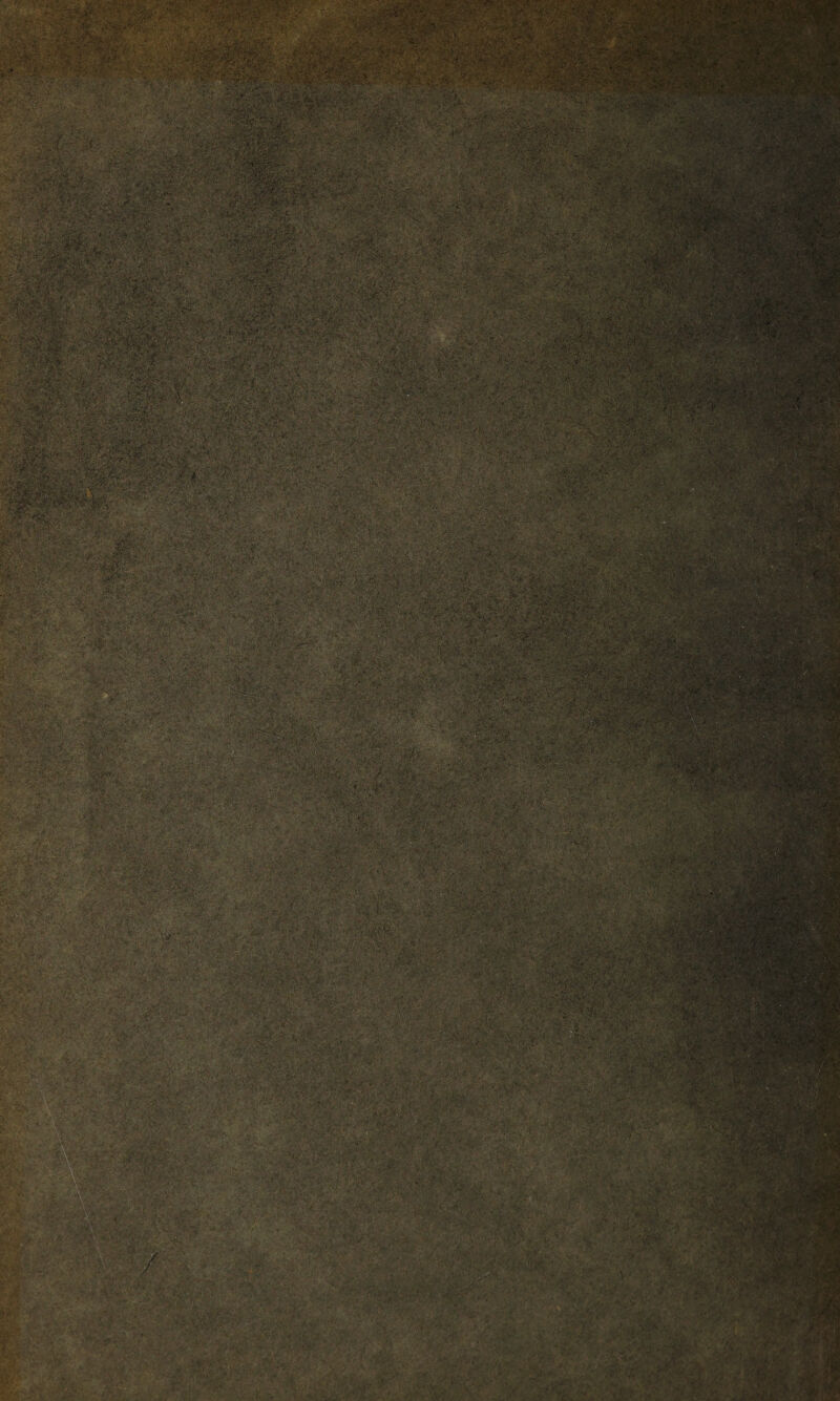 i- ; y,;-/ A VV/ '• ?< ' iMi. .'t • iiif.4 K( ■>.' I P'^ ■' ■y - ^ ' ‘v,. '(•■ 5-- ■'. >y 0-^ — ' ?