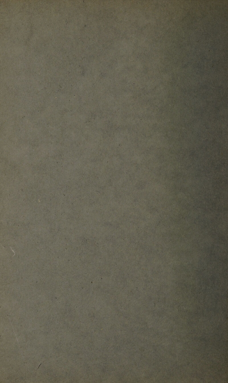 ..yMTf. ' ^ ' ;. •4' ’ f- W • -/.> V ,v .'-' V,''-' •■ ■ '. . '“t >'/•■ i’.;. •'■/ f'.'i •, V'-^V . -N'l • •'r*'^'.- •'*>• \ V ,'':''--V ■■.•;.l'^ • •■. * * ■■: - f ■: ' - ^ - •'.' * ''.y? ’'i'' ■ ' i •• •' ’ i. V ' ■ ‘^'■\ ■ ,>■ •' •• .' ..'/■'► '-■'' ■- .';■; .-V' . ' rS' - . V. iv't • ■a:'. . - iv. ■;'•• ' ' ' ■ ■ . -C. '•' '.V A '■■*('' *■ • .-^A*./- v '• :* < '■•' -.A-* ., ■ ■•UA ,’( ■^:jm - '. -i'A;-;.; , . • • • • . • .^ ' -A- '\m^^ - ■ :i.''''v< -.r- ■ ■''