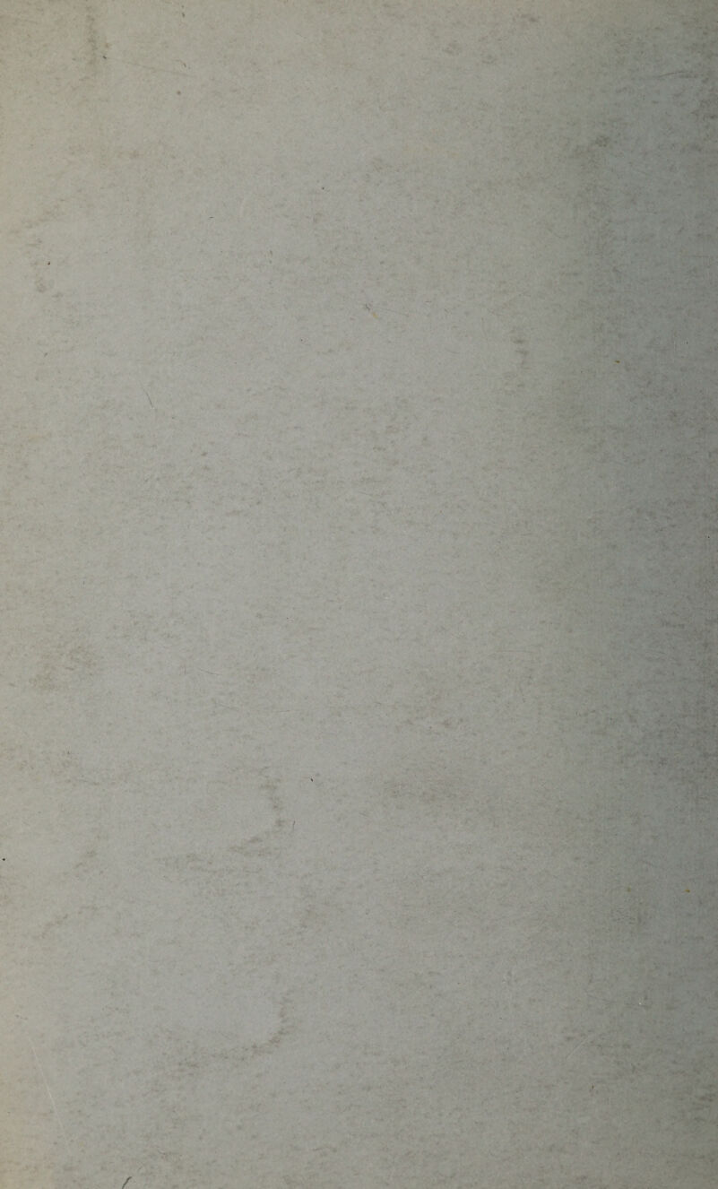 , / - ■ ■' ‘{‘I t ■■•'V . *■ V' 1 .' 'N > ::1. •- -'. *v /