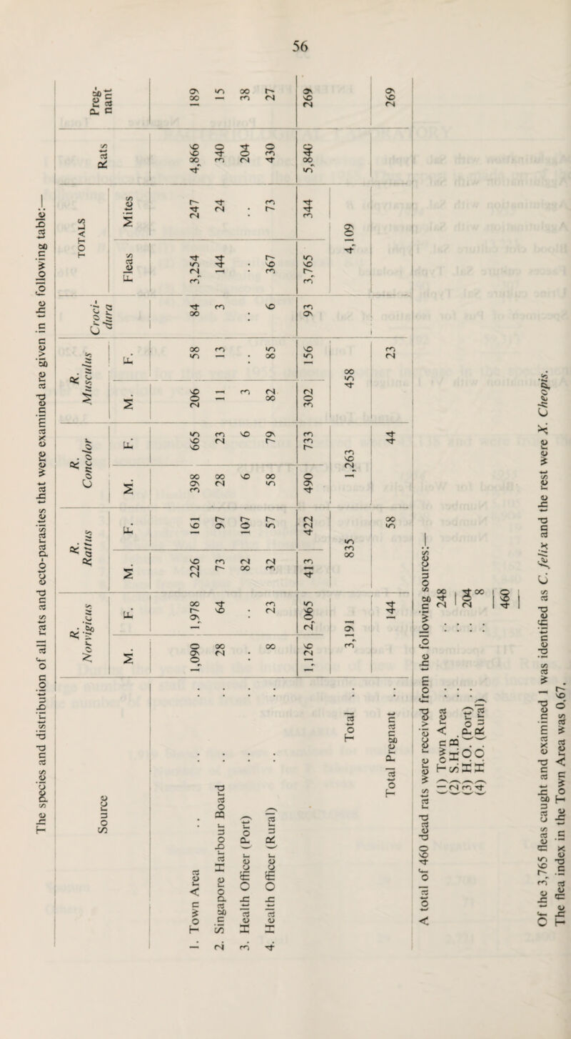 The species and distribution of all rats and ecto-parasites that were examined are given in the following table: Mr u, 2 4 04 04 Rats s 3* *of ■ C/5 04 • ro 2 2 < © 3 3 _0 <3 r» • 0^ % 3 £ o 04 00 o ro . S jv< Vj ^ s: vO m X 04 rs <3 3- r- f'- 04 00 Uh vO Ov © >05 04 >05 to — 3- •2S • •***. >/™5 ^ a oo C< vO <3 04 04 <3 04 O- OO <3 •—4 04 3 oo oT <3 <05 3 a VJ Uh r- Ov vO • 04 S, 3“ R. vigt — 04 Ov o OO OO X 2 Ov o rv 04 • 04 • • • • • * W 3 c *—* o H 3 C 00 (U Uh • • • • CL 3 ■•—> 0) T3 U-. O H cd D J— o • 3 CQ O # l—i Um C/2 3 o 3 O 0- a: X) U cd L- a> u. Q DC U CJ (3 <U o E E U* < U- o O O a X X c cd w 4—» * 00 cd 3 o c a> <U H C/2 DC I 04 «3 3* 3 O t/3 OO c £ o a E o O t> > '5 £ i— V z C/5 t—t 3 In T3 3 <U -a © vO 3- 3 o 22 cl ac < c CQ ^7 IxQO t-viXX — 04 co 2 O w < Of the 3,765 fleas caught and examined 1 was identified as C. felix and the rest were X. Cheopis. The flea index in the Town Area was 0,67,