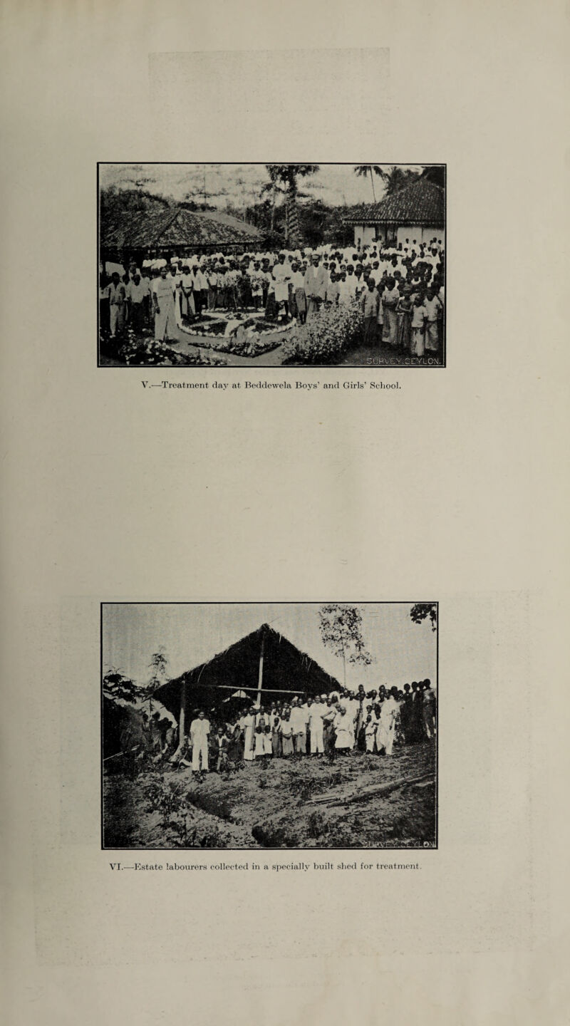 V.—Treatment day at Beddewela Boys’ and Girls’ School. VI.—Estate labourers collected in a specially built shed for treatment.