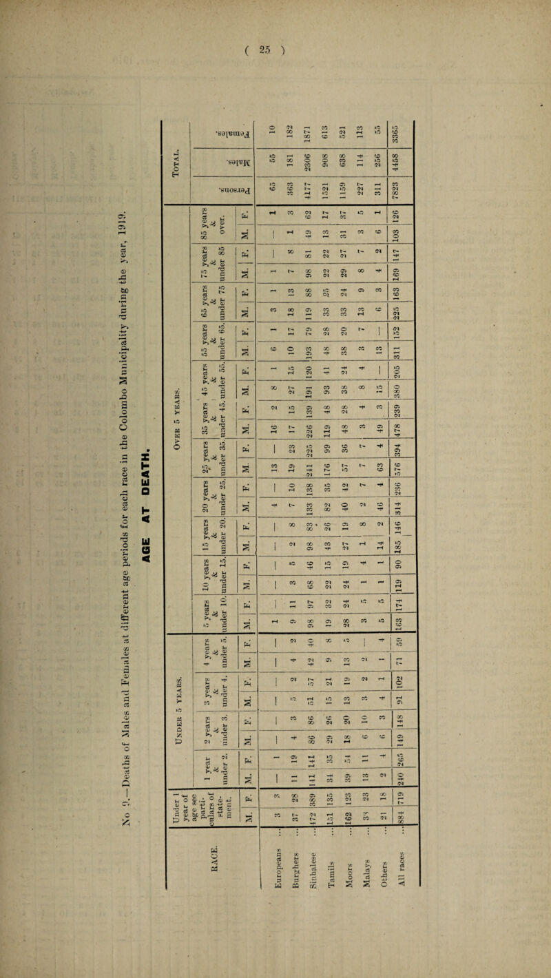Xo 0.—Deaths of Males and Females at different age periods for each race in the Colombo Municipality during the year, 1919. AGE AT DEATH.